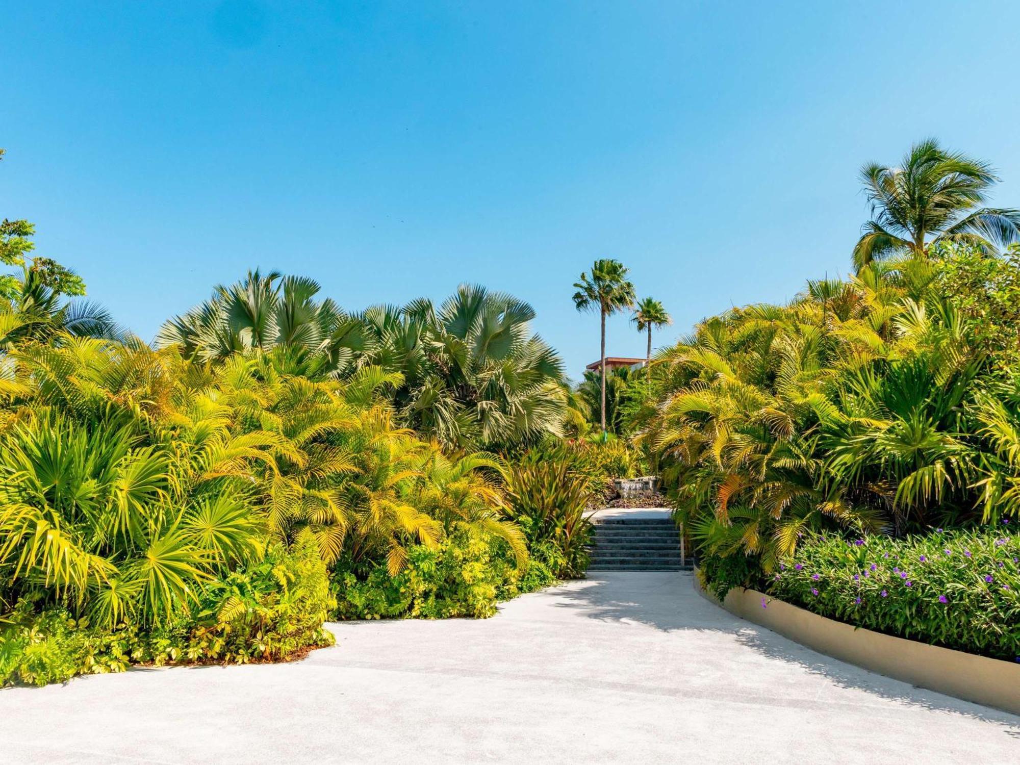 Armony Marival Resort & Spa Punta De Mita - Mgallery Collection (Adults Only) Punta Mita Bagian luar foto